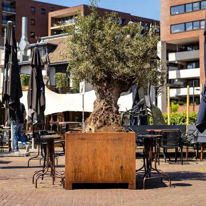 Hochbeete aus Cortenstahl "mit Füßen"