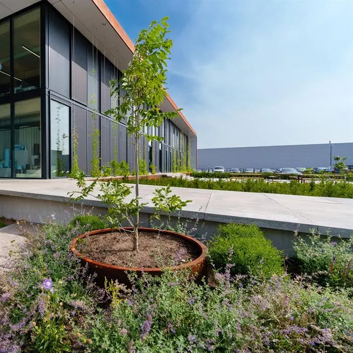 Cortenstahl Pflanzrahmen "rund ohne Boden"