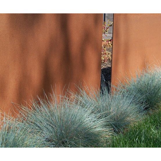 Paneele aus Cortenstahl "Pusteblume"